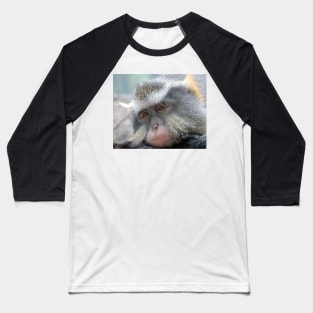 Macaque,Relaxing,Old World Monkeys Baseball T-Shirt